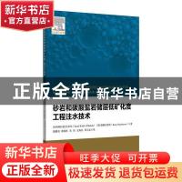 正版 砂岩和碳酸盐岩储层低矿化度工程注水技术