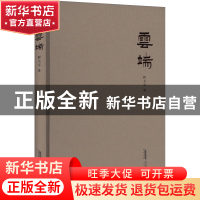 正版 云端 程大宝著 安徽文艺出版社 9787539672441 书籍