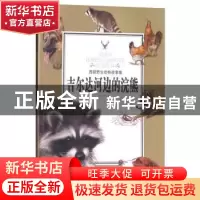 正版 吉尔达河边的浣熊 姚忻仪 武汉出版社 9787558204364 书籍