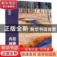 正版 内在精要 庄开歌著 浙江摄影出版社 9787551419154 书籍