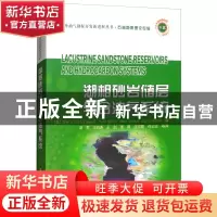 正版 湖相砂岩储层与含油气系统