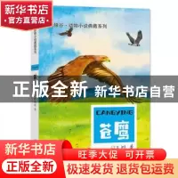 正版 苍鹰 许廷旺 希望出版社 9787537982559 书籍