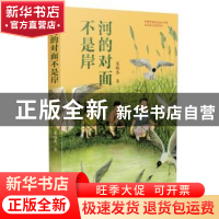 正版 河的对面不是岸 宋晓杰 百花文艺出版社 9787530682333 书籍