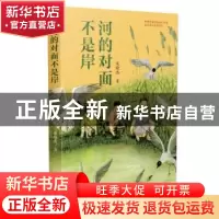 正版 河的对面不是岸 宋晓杰 百花文艺出版社 9787530682333 书籍