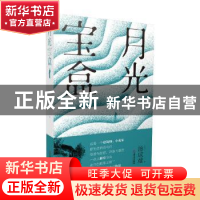 正版 月光宝盒 汤成难 上海文艺出版社 9787532181094 书籍
