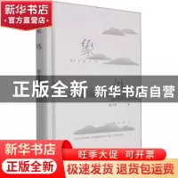 正版 象外 赵宝海著 长江文艺出版社 9787570224593 书籍