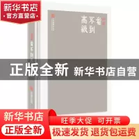 正版 看不到高级 胡颖[著] 中央编译出版社 9787511732965 书籍