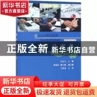 正版 审计实务 肖小飞著 电子工业出版社 9787121335280 书籍