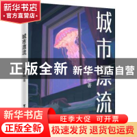 正版 城市漂流 黎珮琳著 台海出版社 9787516832073 书籍