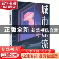 正版 城市漂流 黎珮琳著 台海出版社 9787516832073 书籍
