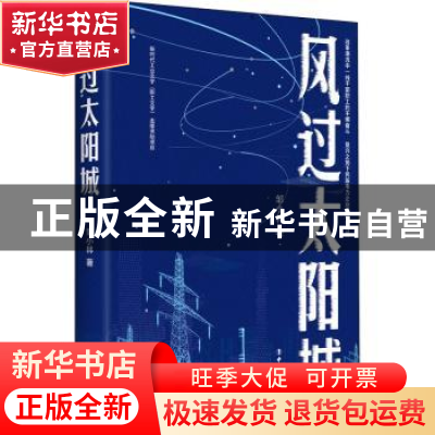 正版 风过太阳城 邹小林著 中国工人出版社 9787500876953 书籍