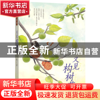 正版 又见构树花 晓月 福建少年儿童出版社 9787539570013 书籍