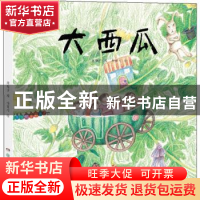 正版 大西瓜 萧翱子 湖南少年儿童出版社 9787556244355 书籍