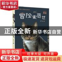 正版 冒险家四世 朱洪海 少年儿童出版社 9787558913112 书籍
