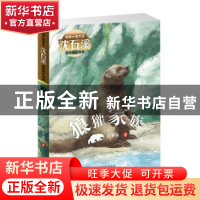 正版 狼獾家族 沈石溪著 新蕾出版社 9787530767214 书籍