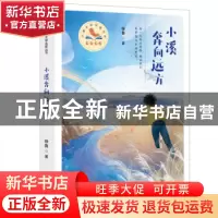 正版 小溪奔向远方 徐鲁 百花文艺出版社 9787530682913 书籍