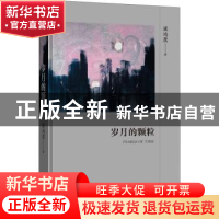 正版 岁月的颗粒 梁鸿鹰 北京十月文艺出版社 9787530221051 书籍