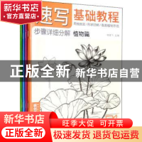 正版 速写基础教程(全4册) 杨建飞 中国书店 9787514928143 书籍
