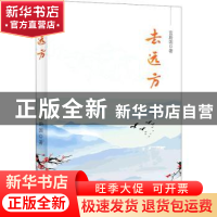 正版 去远方 宫蔚国 中国言实出版社 9787517140573 书籍