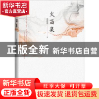 正版 火苗集 宫蔚国 中国言实出版社 9787517136866 书籍