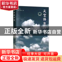 正版 天空停车场 黄豆逗著 北京出版社 9787200174243 书籍