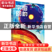 正版 宇宙回响 木卫等著 中国科学技术出版社 9787523600610 书籍