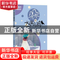 正版 飞翔的海盗船 马传思著 四川文艺出版社 9787541156687 书籍