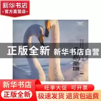 正版 天鹅圣境 崔林 中国林业出版社 9787521918908 书籍