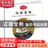 正版 阳燧宝珠 赵镇琬主编 新世界出版社 9787510455056 书籍