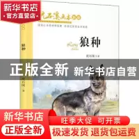 正版 狼种 沈石溪著 长江少年儿童出版社 9787556090877 书籍
