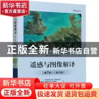 正版 遥感与图像解译