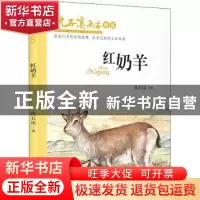 正版 红奶羊 沈石溪著 长江少年儿童出版社 9787556091102 书籍