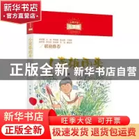 正版 小英雄雨来 管桦著 现代出版社 9787514382174 书籍
