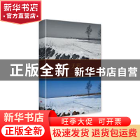 正版 思无邪 宋亚平著 百花文艺出版社 9787530683026 书籍