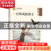 正版 一只叫凤的鸽子 曹文轩著 明天出版社 9787570806768 书籍