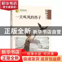 正版 一只叫凤的鸽子 曹文轩著 明天出版社 9787570806768 书籍
