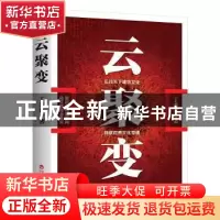 正版 云聚变 丁秀忠著 百花洲文艺出版社 9787550040960 书籍
