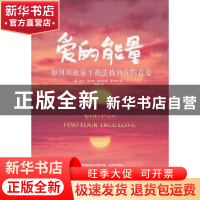 正版 爱的能量:如何用能量平衡法找到你的真爱
