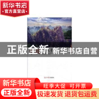 正版 中楼的风景 东夷昊著 光明日报出版社 9787519440121 书籍