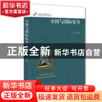 正版 小国与国际安全 韦民著 北京大学出版社 9787301266052 书籍