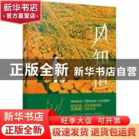正版 风知道 沈熊猫著 江苏凤凰文艺出版社 9787559443038 书籍
