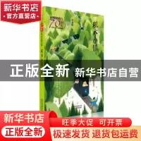 正版 积木小镇 皮朝晖著 北京少年儿童出版社 9787530157480 书籍