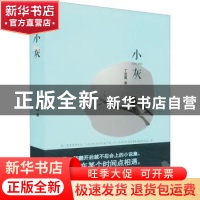 正版 小灰 丁恩翼著 文汇出版社 9787549637027 书籍