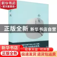 正版 小灰 丁恩翼著 文汇出版社 9787549637027 书籍