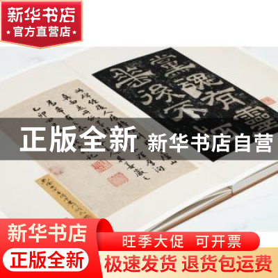 正版 夏承碑 上海博物馆编 上海书画出版社 9787547931059 书籍