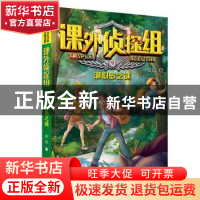 正版 湖心岛之谜 谢鑫著 河北少年儿童出版社 9787559523778 书籍