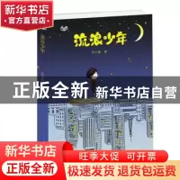 正版 流浪少年 关小敏著 海天出版社 9787550727090 书籍