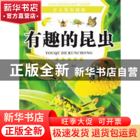 正版 有趣的昆虫 张哲编著 现代出版社 9787514310764 书籍