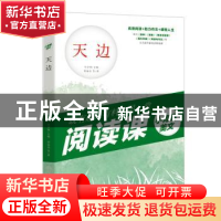 正版 天边 辛岁寒主编 天地出版社 9787545554342 书籍
