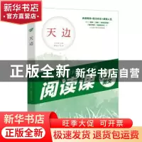 正版 天边 辛岁寒主编 天地出版社 9787545554342 书籍